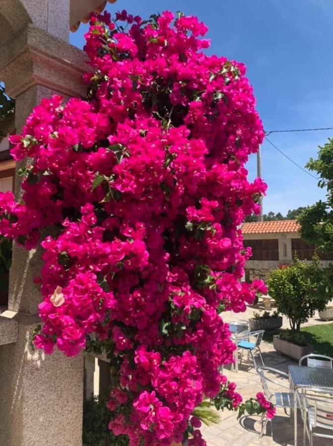 Hotel O Noso Bar Cambados Dış mekan fotoğraf